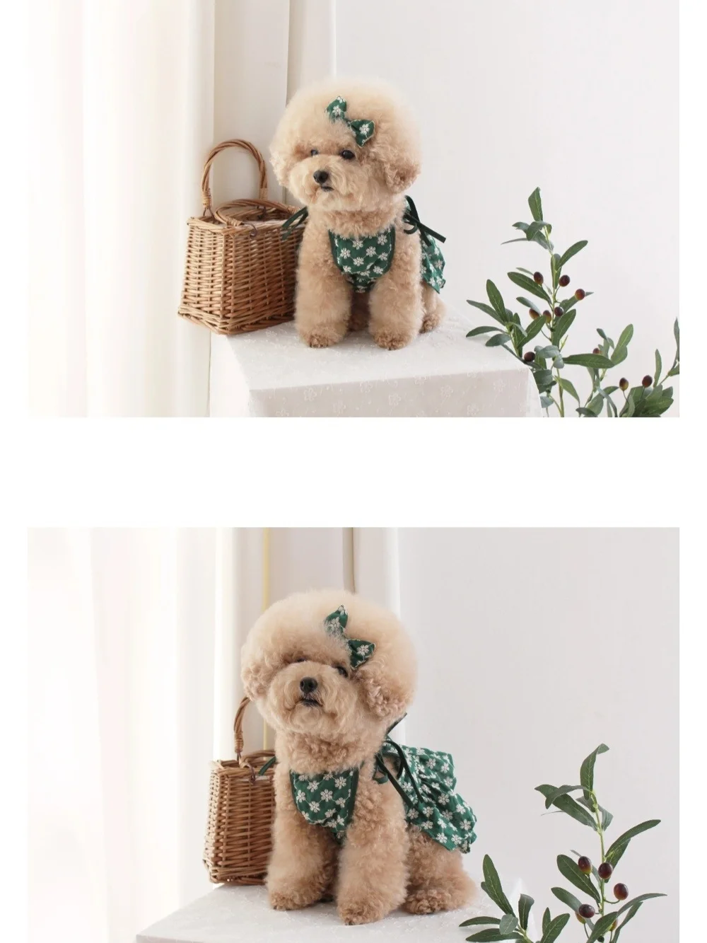 CokeMill Aloha Dress Puppy Dress Korean Pet Fashion NWT